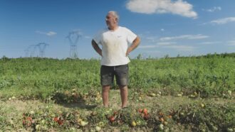 Pas de Repos pour Marco